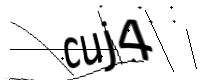 captcha_img