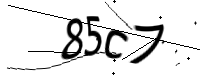 captcha_img