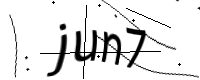 captcha_img