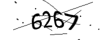 captcha_img