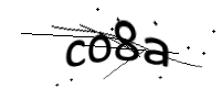 captcha_img