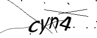 captcha_img