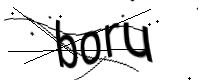 captcha_img