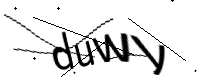 captcha_img
