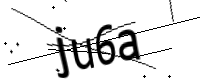 captcha_img