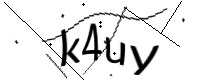 captcha_img