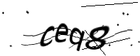 captcha_img