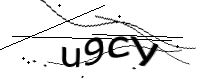 captcha_img