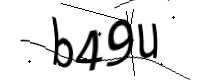 captcha_img