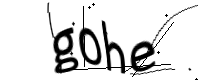 captcha_img