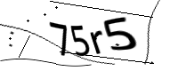 captcha_img
