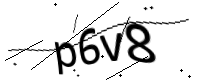 captcha_img