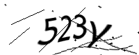 captcha_img