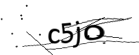 captcha_img