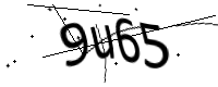 captcha_img