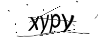 captcha_img