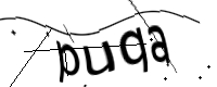 captcha_img