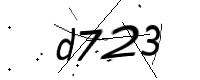 captcha_img