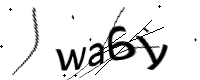 captcha_img