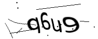 captcha_img